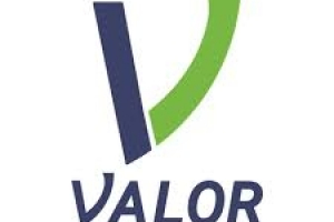 Tarjeta Valor · La Zonal